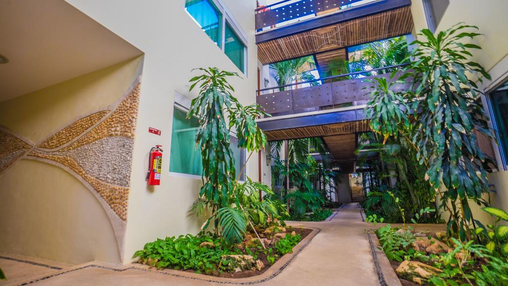 Meridian Downtown Apartments بلايا ديل كارمن المظهر الخارجي الصورة